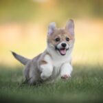 Shutterstock 2042038094 [city]