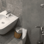 Whixh is better... bidet or douche?