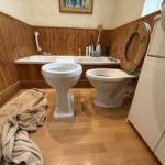Tall and standard toilet - side by side