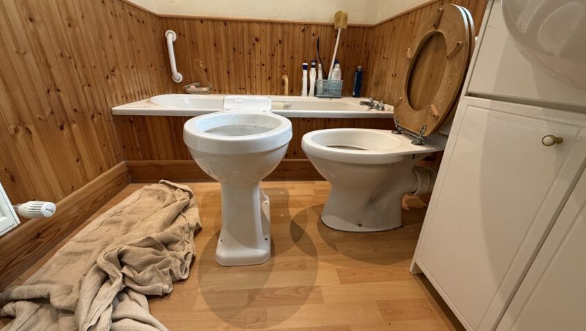 Tall and standard toilet - side by side